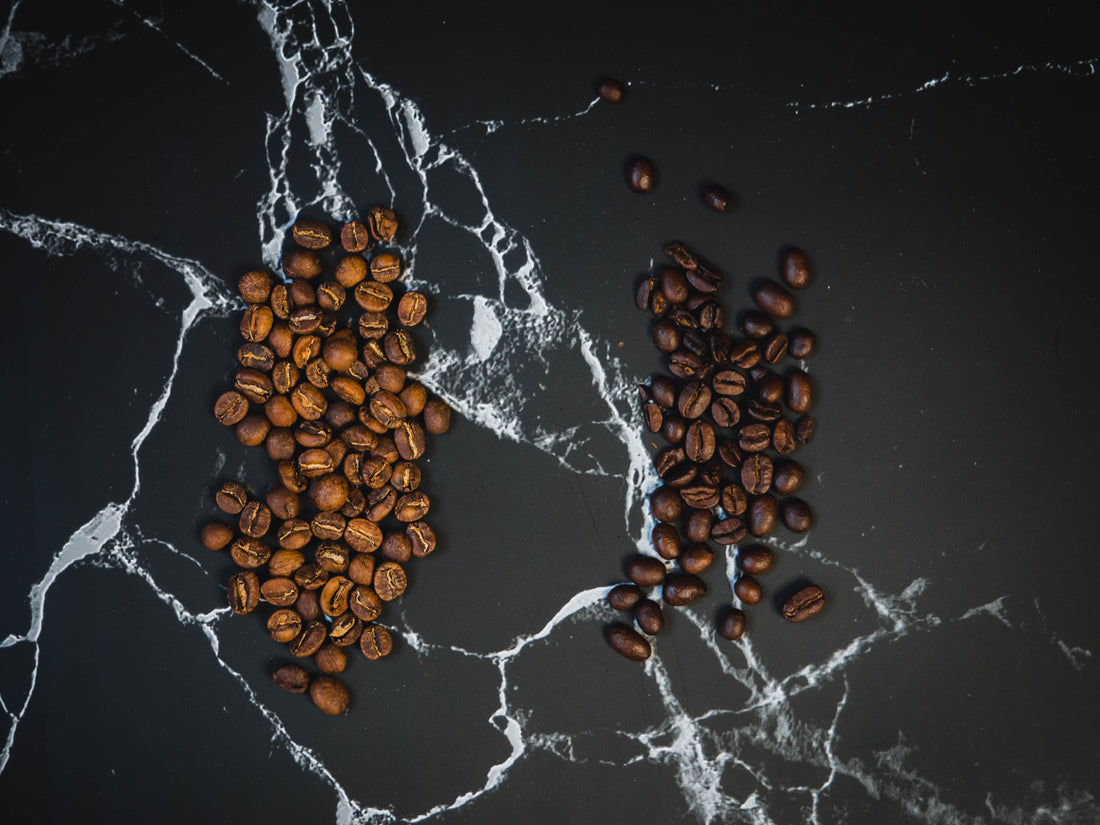 The Differences Between Robusta Coffee and Arabica Coffee Beans - The Coffee Connect