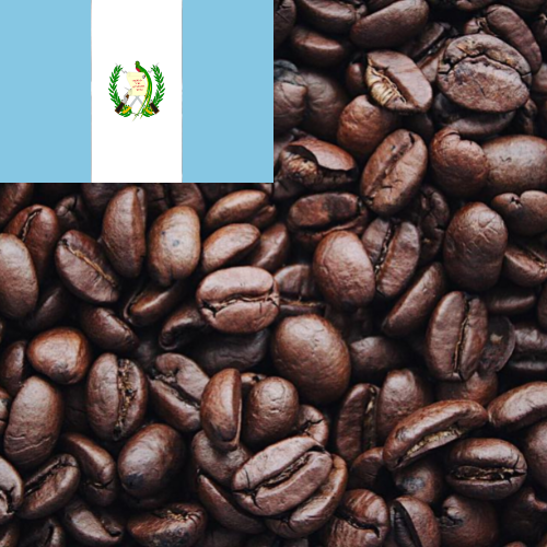 Guatemala Coffee Beans