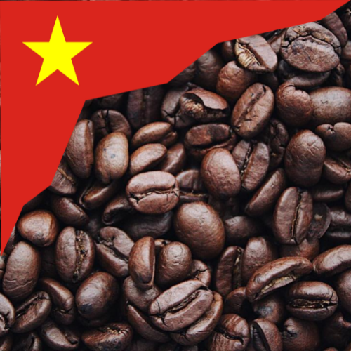 Vietnamese Coffee Bean